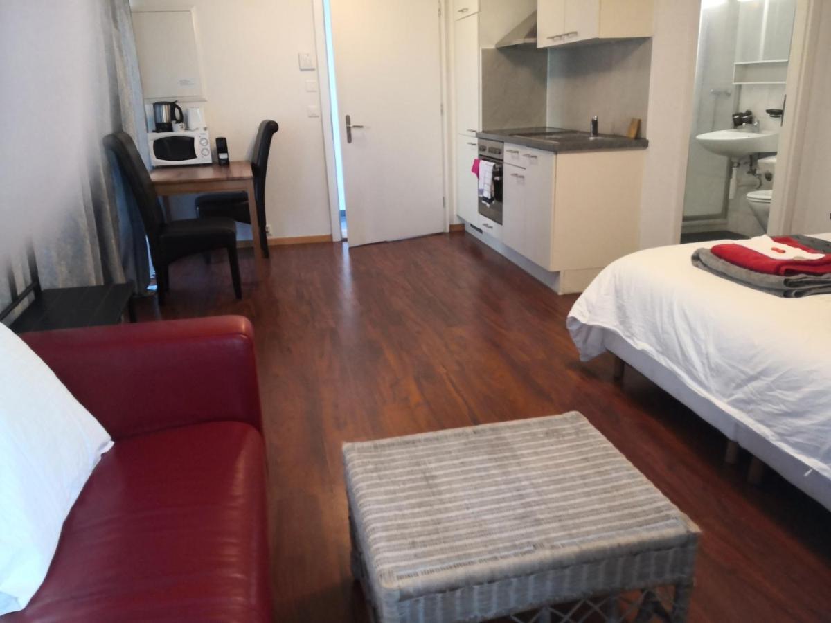 Unteregasse21 Apartments Unterseen Екстер'єр фото